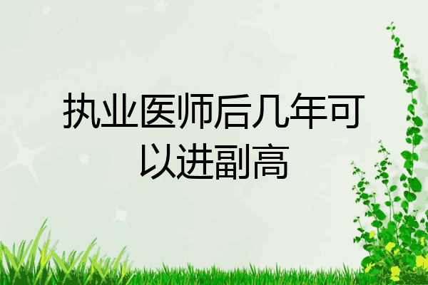 执业医师后几年可以进副高