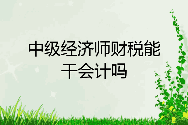 中级经济师财税能干会计吗