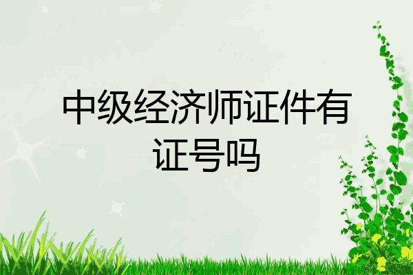 中级经济师证件有证号吗