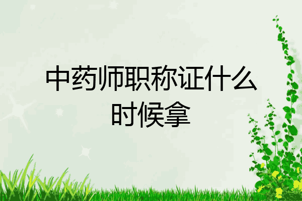 中药师职称证什么时候拿