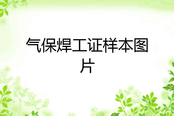 气保焊工证样本图片