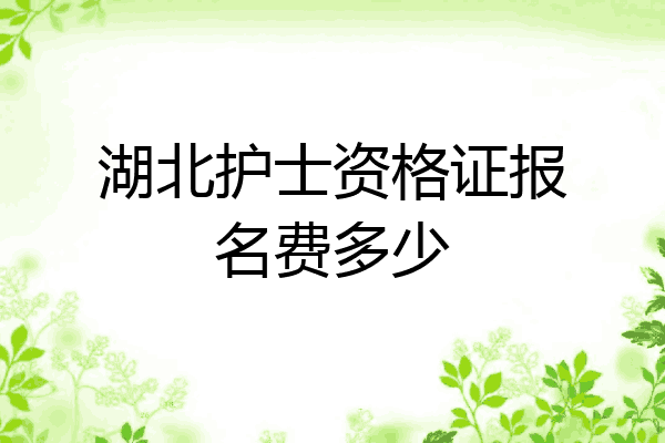 湖北护士资格证报名费多少
