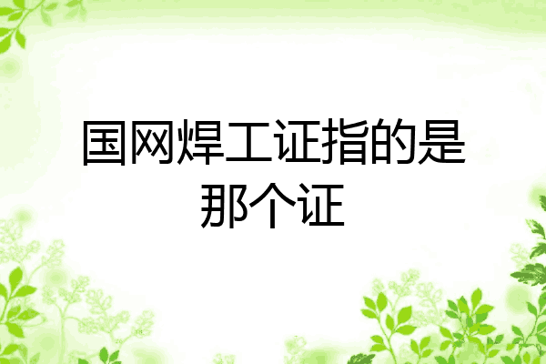 国网焊工证指的是那个证
