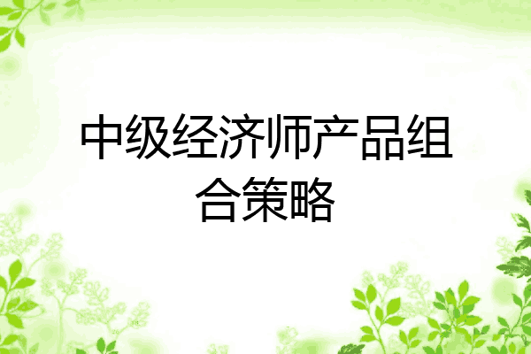 中级经济师产品组合策略
