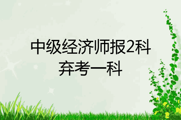 中级经济师报2科弃考一科