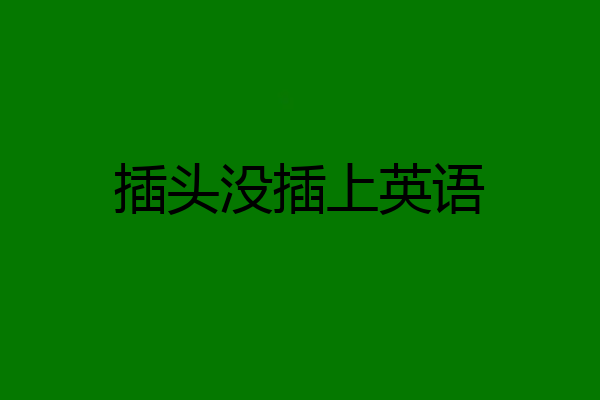 插头没插上英语