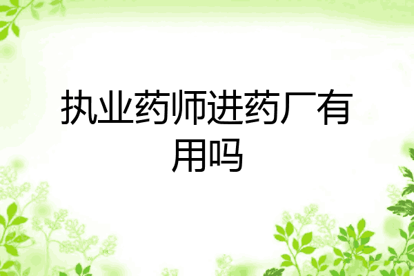 执业药师进药厂有用吗