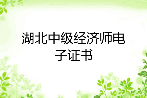 湖北中级经济师电子证书