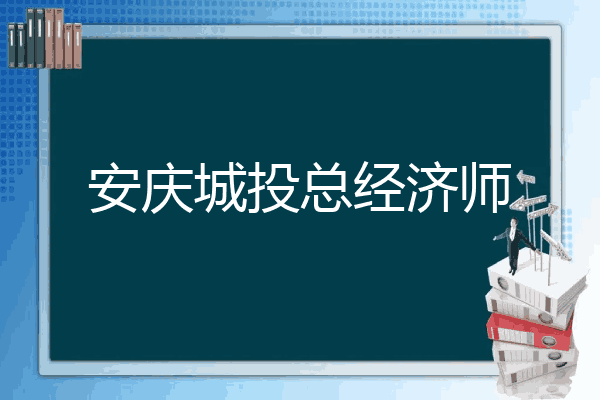 安庆城投总经济师