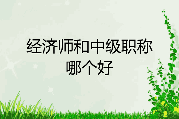 经济师和中级职称哪个好