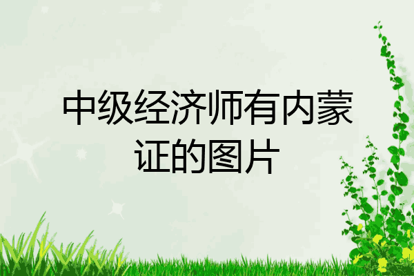 中级经济师有内蒙证的图片