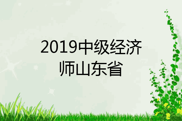 2019中级经济师山东省
