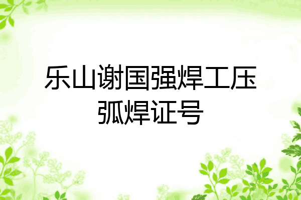 乐山谢国强焊工压弧焊证号