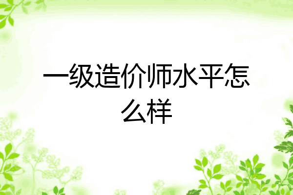 一级造价师水平怎么样