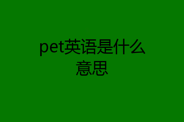 pet英语是什么意思