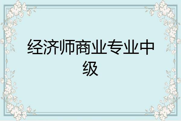经济师商业专业中级