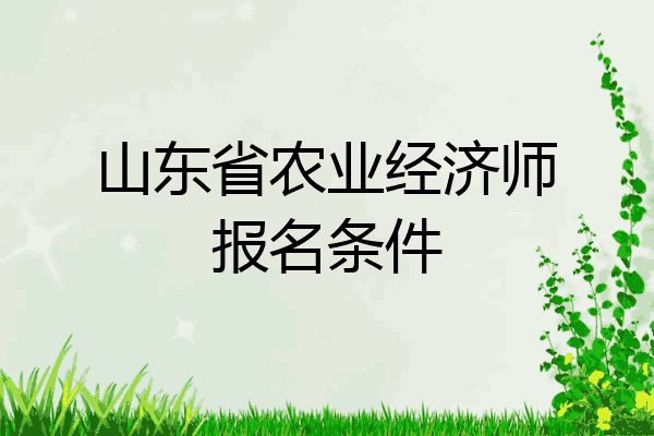 山东省农业经济师报名条件