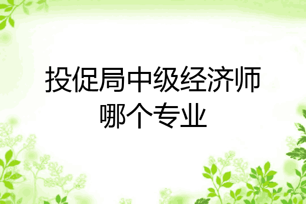 投促局中级经济师哪个专业