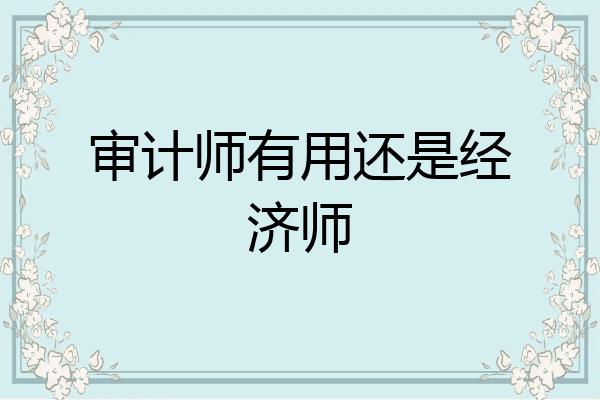审计师有用还是经济师
