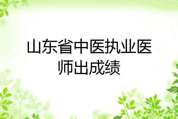 山东省中医执业医师出成绩