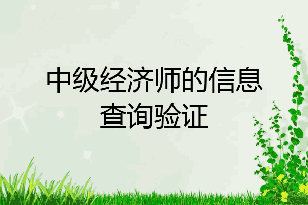 中级经济师的信息查询验证