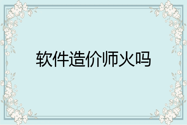 软件造价师火吗