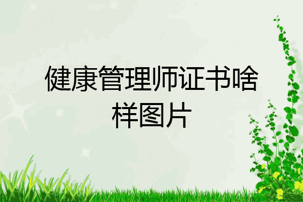 健康管理师证书啥样图片