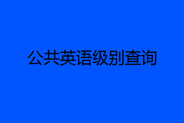 公共英语级别查询