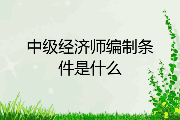 中级经济师编制条件是什么