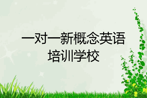 一对一新概念英语培训学校