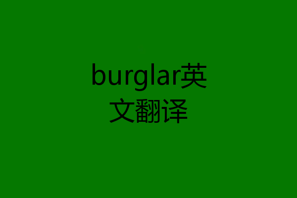 burglar英文翻译