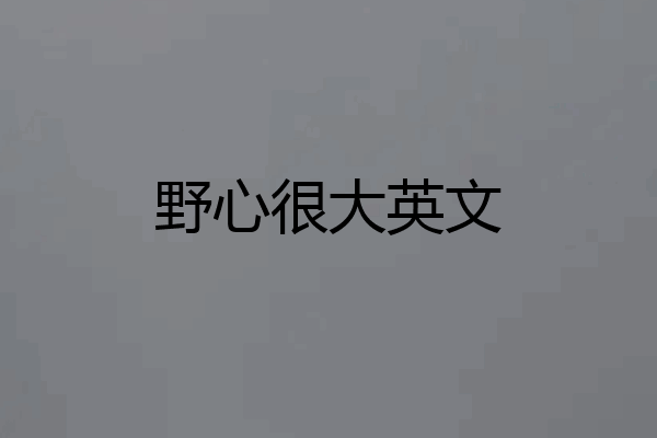 野心很大英文