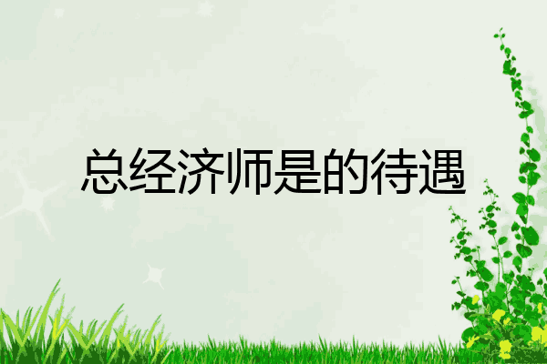 总经济师是的待遇