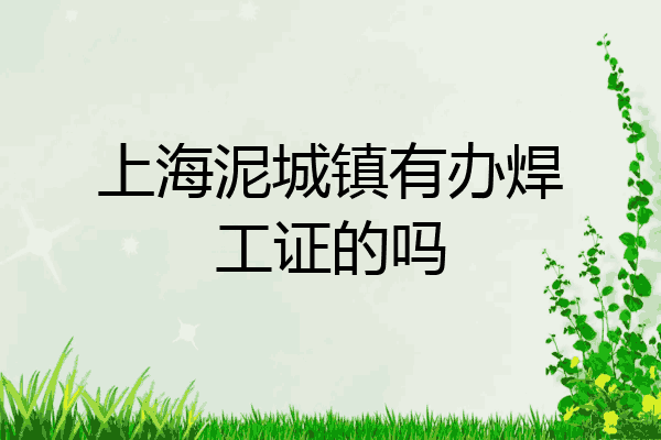 上海泥城镇有办焊工证的吗