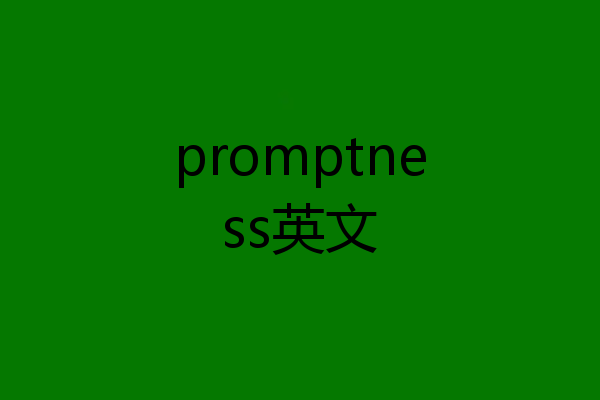 promptness英文