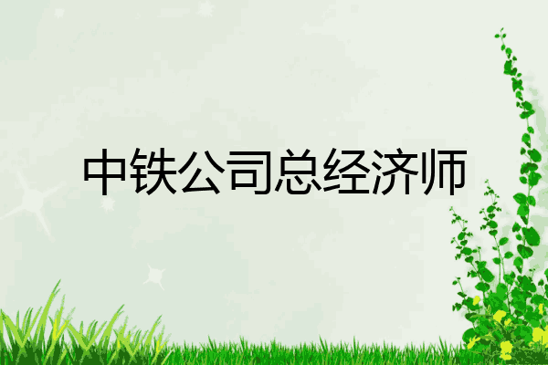 中铁公司总经济师