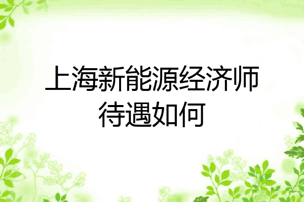 上海新能源经济师待遇如何