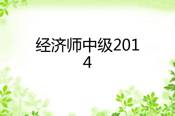 经济师中级2014