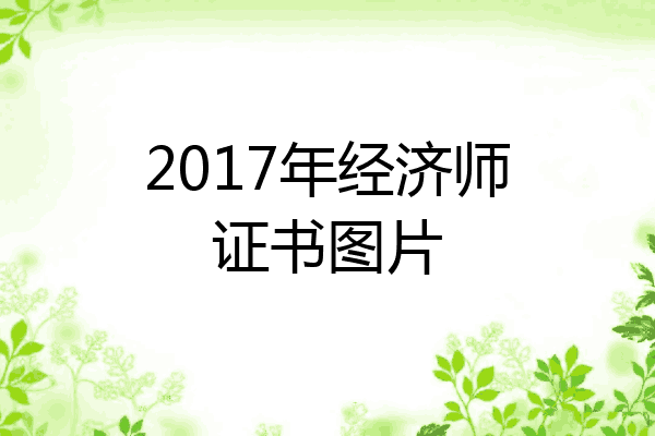 2017年经济师证书图片