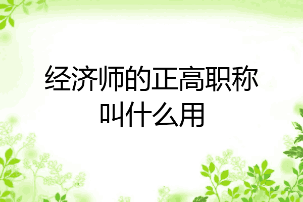 经济师的正高职称叫什么用