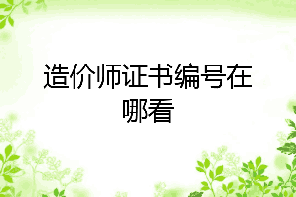 造价师证书编号在哪看