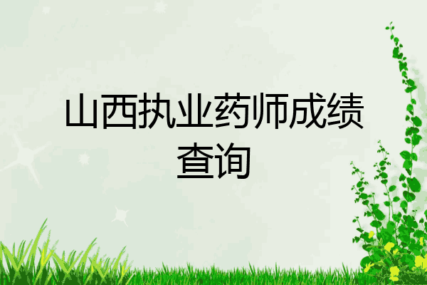 山西执业药师成绩查询