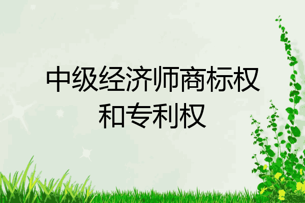 中级经济师商标权和专利权