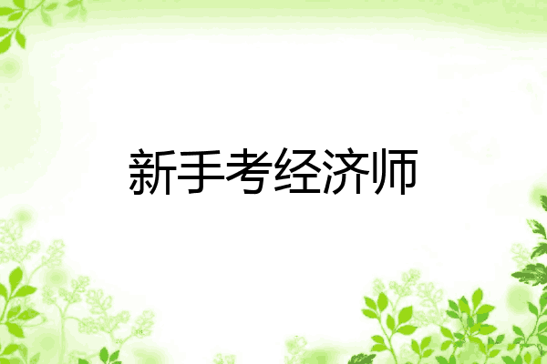 新手考经济师