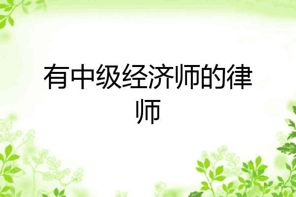 有中级经济师的律师