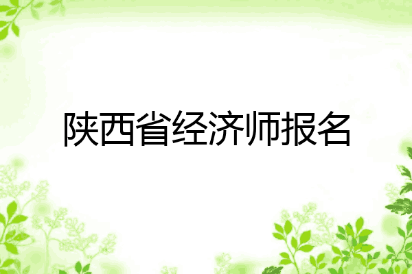 陕西省经济师报名