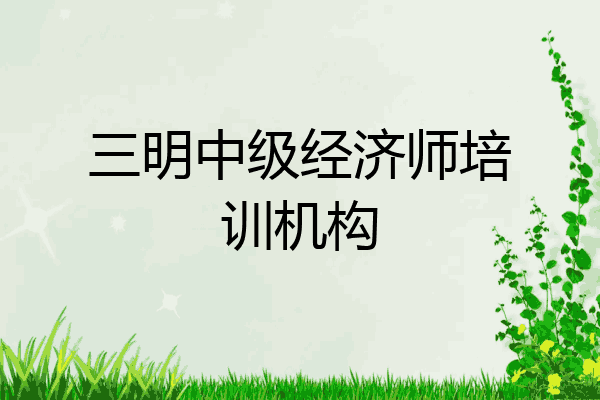 三明中级经济师培训机构