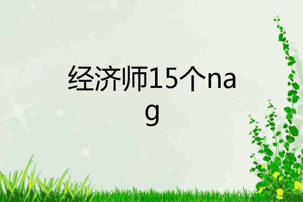 经济师15个nag