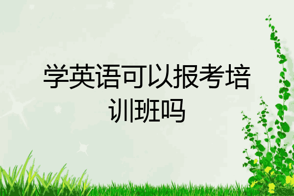 学英语可以报考培训班吗