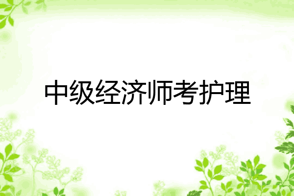 中级经济师考护理